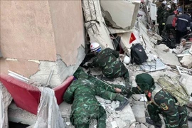 Спасательные силы Вьетнамской народной армии используют детекторы для поиска и спасения пострадавших. (Фото: опубликовано Ван Хиеу/ВИА)