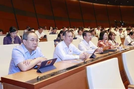 Депутаты НС на пятой сессии Национального собрания (НС) 15-го созыва (Фото: ВИА)