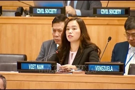 Советник-посланник Ле Тхи Минь Тхоа, заместитель постоянного представителя Вьетнама при ООН (Фото: ВИА)