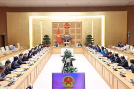 Премьер-министр Фам Мин Тьинь встретился с руководителями вьетнамских представительств за рубежом. (Фото: ВИА)
