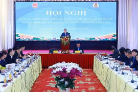 Премьер-министр Фам Минь Тьинь выступает на встрече. (Фото: ВИА)