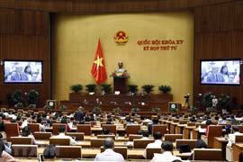 На заседании НС. (Фото: Ан Данг/ВИА)