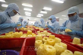 Спрос России на сельскохозяйственную продукцию в будущем увеличится, поскольку российско-украинский конфликт привел к дефициту предложения. (Фото: ВИА)