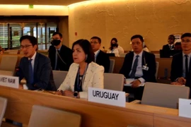 Делегация Вьетнама на 50-й очередной сессии Совета ООН по правам человека в Женеве (Фото: ВИА) 