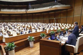 Министр сельского хозяйства и развития сельских местностей Ле Минь Хоан отвечает на депутатские запросы. (Фото: ВИА)