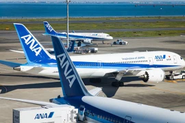 Самолет авиалинии ANA. (Фото: japantimes)