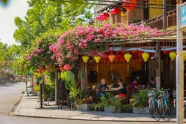 Уголок улицы в Хойане (Фото: ВИА) 