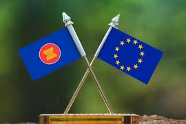 Иллюстративное изображение (Фото: aseanbriefing.com) 