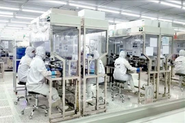 Optrontec Vina, компания с инвестициями из Республики Корея, в промышленном парке Ba Thien 2, Виньфук. (Фото: ВИА)