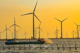 Ожидается, что к 2045 году угольная энергия будет составлять лишь 9,6% энергетического сектора страны, а доля солнечной энергии достигнет 50,7%. (Фото: ВИА)
