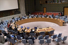 На одном заседании Совета Безопасности ООН в Нью-Йорке, США. (Фото: Синьхоа/ВИА)