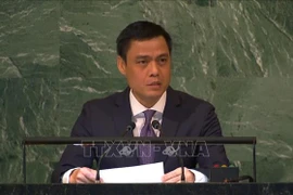 Посол Данг Хоанг Жанг, глава Постоянного представительства Вьетнама при ООН. (Фото: ВИА)