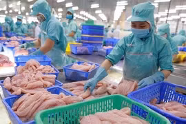 Рабочие перерабатывают рыбу на экспорт. Рыбопродукты являются одними из основных статей экспорта Вьетнама в ЕС. (Фото: ВИА) 