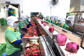 Производственная линия компании Luong Gia Food Technology. (Фото: ВИА)