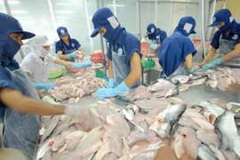 Иллюстративное изображение (Источник: ВИА)