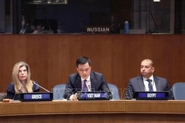 Глава Постоянного представительства Вьетнама при Организации Объединенных Наций посол Данг Хоанг Жанг (в центре) на мероприятии. (Фото: ВИА) 