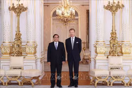 Премьер-министр Фам Минь Тьинь имел встречу с Великим герцогом Люксембурга Анри. (Фото: ВИА)