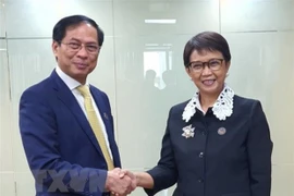 Министр иностранных дел Буй Тхань Шон (слева) встречается с министром иностранных дел Индонезии Ретно Марсуди. (Фото: ВИА) 