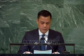 Посол Данг Хоанг Жанг, Постоянный представитель Вьетнама при Организации Объединенных Наций (Фото: ВИА) 