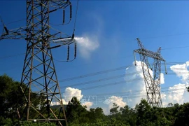 Vietnam Electricity Group вошла в Топ-10 из Топ-500 крупнейших предприятий Вьетнама в 2021 году. (Фото: ВИА)