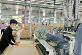 Иллюстративное фото (Источник: baobinhduong.vn) 