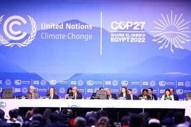 Обзор церемонии открытия COP27 (Фото: ВИА) 