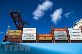  Многие компании, занимающиеся контейнерными перевозками, приостановили маршруты в Россию. (Иллюстративное фото: AFP/ ВИА)