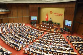 На заседании в рамках 4-ой сессии НС 15-го созыва. (Фото: ВИА)