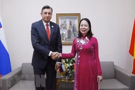 Встреча вице-президента Во Тхи Ань Суана с президентом Словении Борутом Пахором. (Фото: ВИА)