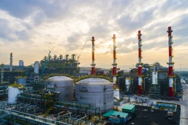 PVN предложил построить Комплекс нефтехимических заводов и создать национальный нефтяной резерв