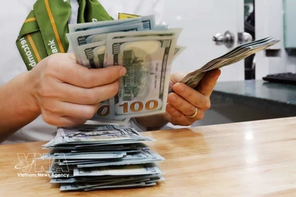 Денежные переводы соотечественников являются важным ресурсом экономики. (Фото: ВИА)