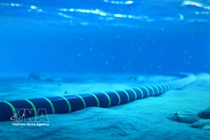 Фотоиллюстрация: (https://bnews.vn/)