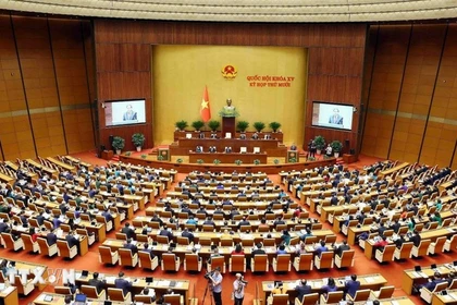 Идёт заседание Национального собрания (НС). (Фото: ВИА)