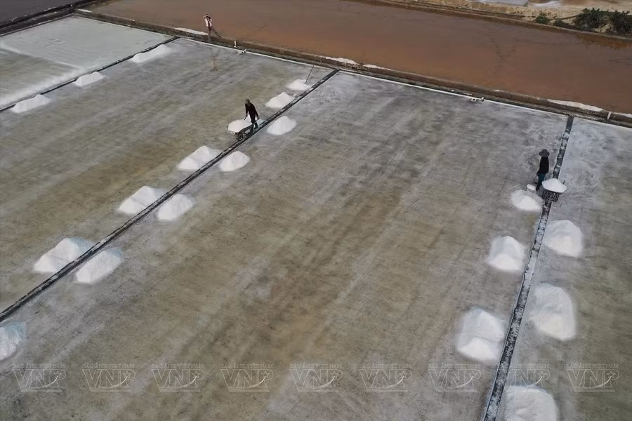 Производство соли в Ниньтхуане сосредоточено в общиах Фыонгхай, Чихай, Ньонай уезда Ниньхай, а также в общинах Кана, Фыокзием и Фыокминь уезда Тхуаннам. (Фото: ВИА)