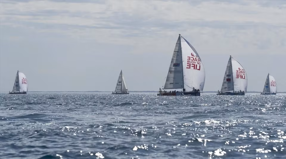 В феврале 2024 года, в рамках Чемпионата мира по парусным гонкам сезона 2023-2024 гг., состоялась пятая гонка Clipper Race под названием Asia-Pacific Challenge в Халонге (провинция Куангнинь). (Фото: ВИА)