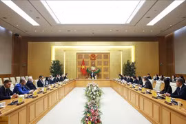 Премьер-министр Фам Минь Тьинь принимает швейцарские и европейские предприятия. (Фото: ВИА)