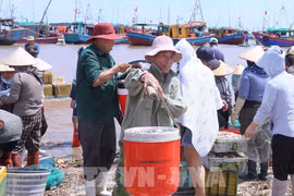 Жители переносят купленные ящики с морепродуктами на берег, чтобы доставить их на рынок Жаохай в общине Жаофук для реализации. (Фото: ВИА)