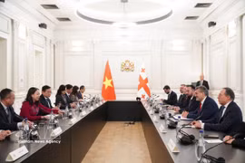 Президент Грузии Михаил Кавелашвили принимает вице-президента государства Во Тхи Ань Суан, прибывшую с визитом вежливости. Фото: ВИА