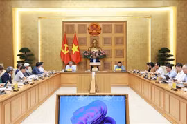 Премьер-министр Фам Минь Тьинь проводит совещание с Отделом по исследованию и развитию частной экономики. (Фото: ВИА)