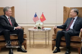 Генеральный секретарь, Президент государства То Лам принимает сенатора США Стива Дейнса. Фото: ВИА