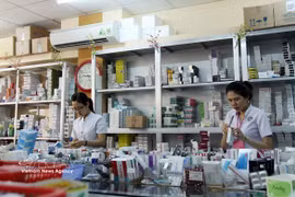 Розничные аптечные учреждения должны соответствовать условиям ведения фармацевтической деятельности, обеспечивать публичное размещение цен, размещать лекарственные средства в рамках программы стабилизации с возможностью их лёгкой идентификации и реализовывать их по установленным ценам. (Фото: ВИА)