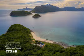 Посетители осматривают "Обезьяний остров" в Канзё на моторной лодке. (Фото: ВИА)