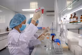 Научный сотрудник Института вакцин и медицинских биопрепаратов при Министерстве здравоохранения (штаб-квартира в провинции Кханьхоа) проводит исследования и контроль качества вакцин. Фото: ВИА