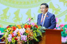 Секретарь партийного комитета, председатель Совета участников Petrovietnam Ле Мань Хунг выступает с докладом на I съезде партийной организации Правительства.