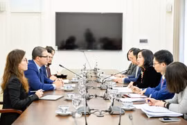 Заместитель министра иностранных дел Ле Тхи Тху Ханг проводит переговоры с постоянным заместителем министра иностранных дел и туризма Мальты. (Фото: ВИА)