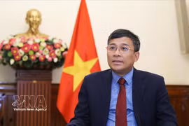 Постоянный заместитель министра иностранных дел Нгуен Минь Ву. (Фото: ВИА)