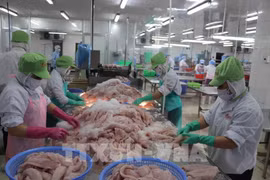 Переработка рыбных продуктов порождает значительный объём побочной продукции. (Фото: ВИА)