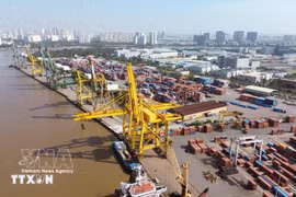 Погрузочно-разгрузочные работы с контейнерами в порту Тантуан — Акционерная компания «Сайгонский порт». (Фото: ВИА)