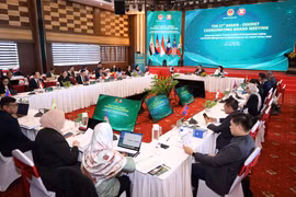 Вид с церемонии открытия 27-го заседания Координационного совета ASEAN-OSHNET в Дананге. Фото: ВИА.