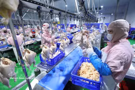 Современная линия убоя птицы на заводе компании Green Chicken Co., Ltd. (Фото: ВИА)